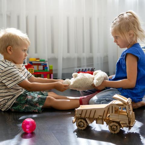 Zwei Kinder streiten im Kindergarten um einen Teddy