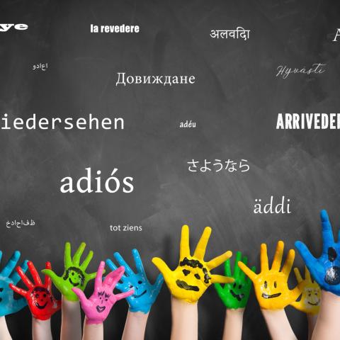 Wichtel Akademie Kita wechseln