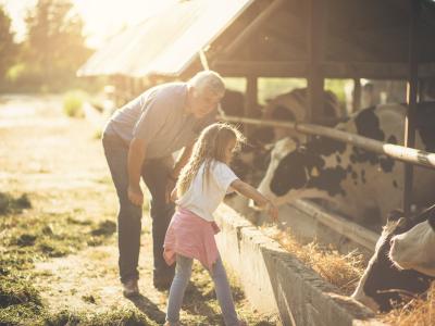 Ausflug auf den Bauernhof als Teil der Ernährungserziehung