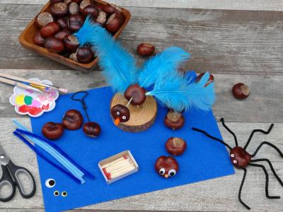 Wichtel Akademie Basteln