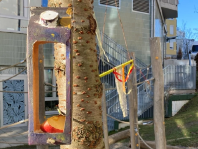 Wichtel Akademie Basteln