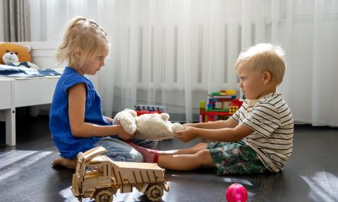 Kinder streiten um einen Teddybär