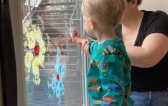 Fenstermalerei fördert Fantasie der Kinder